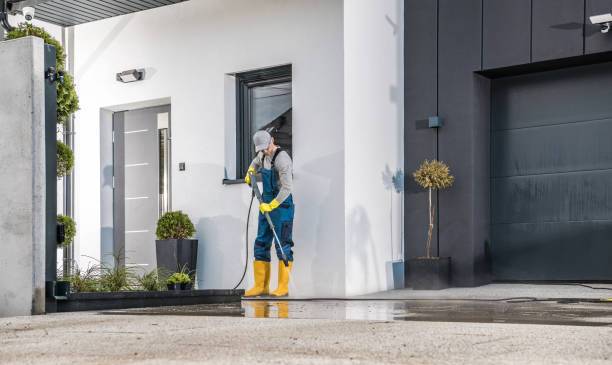 Best Driveway Pressure Washing  in Tipton, CA